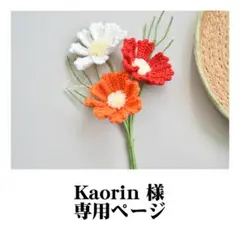 専用ページ