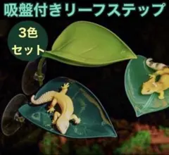 爬虫類 レイアウトアイテム 両生類 葉型 リーフベッド 3色セット 吸盤付きのサムネイル