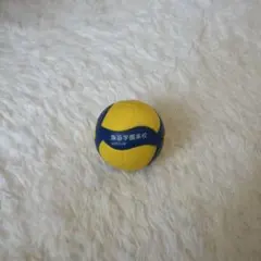 ハイキュー梟谷学園高校