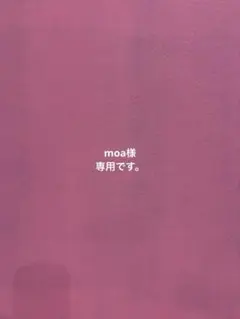 moa様 リクエスト 2点 まとめ商品