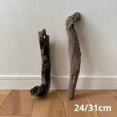 Item thumbnail for item 2a4f30cd-aab9-4cd2-8eed-0d802d713cc3