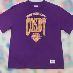 美品 Gerry Cosby サガラ刺繍 Tシャツ XL相当　月末特価のサムネイル