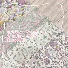 Item thumbnail for item 745e245e-147b-4faf-b09f-f96c08f08ad6