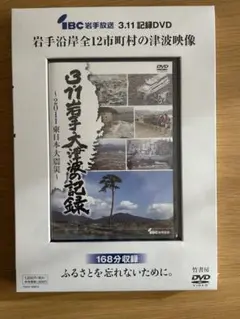 3.11岩手大津波の記録