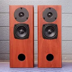 DaytonAudio ドライバー + Fostex P2080-E スピーカー DaytonAudio ドライバー + Fostex P2080-E スピーカー - メルカリ