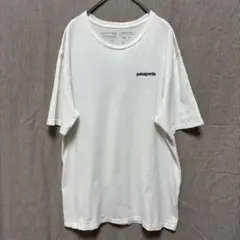 patagonia パタゴニア オーガニックコットン Tシャツ S ホワイト美品のサムネイル