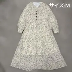 Item thumbnail for item 585fca57-8500-452f-a92d-bf9315848902