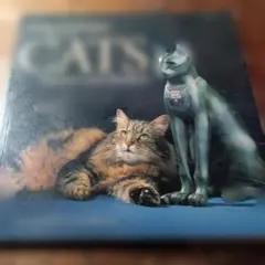 The British Museum Book of CATS