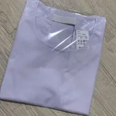 Item thumbnail for item 1575d70d-e97c-4014-b1a3-c7e0819aa5fc