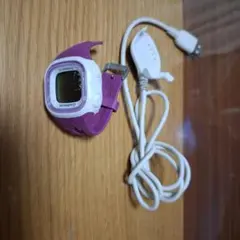 ガーミン15jのサムネイル