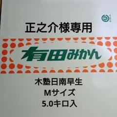 正之介様専用 木塾日南早生 M 5.0キロ入 13-7