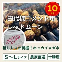 〖田代様限定！コメント専用〗 じゃがいも10kg