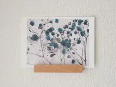 ポストカード 写真「焦点」 | 青い花 植物