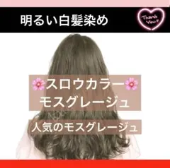 Koloryst カラー剤 まとめ売り 72本セット 美容室専売品 全色SET】Color Gel E001-E331（252色） – KOKOIST ONLINE SHOP