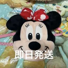 ミニー パスケース ポーチ ディズニー　ポシェット