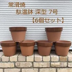 駄温鉢 深型 7号 6個セット 常滑焼 駄鉢のサムネイル
