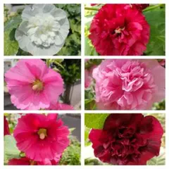 mugi様 リクエスト 2点 まとめ商品