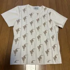 Item thumbnail for item 50dc4838-692d-4301-8527-ab8c1571e0a6