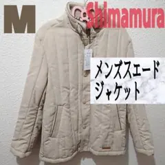 Item thumbnail for item 12a16785-de36-42ea-85fd-6d842db71718