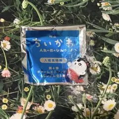 ちいかわ 映画 入場者特典 チャームミニフィギュア 第4弾