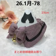 Item thumbnail for item 78339044-28cc-4888-8157-9ba1fa7283ff