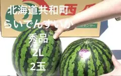 専用2箱 糖度13以上 \
