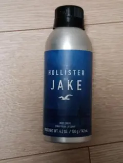 2025年最新】ホリスター Jakeの人気アイテム - メルカリ