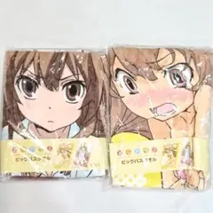 未開封品】とらドラ！ ビッグバスタオル 全2種セット 逢坂大河 - メルカリ