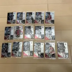 男子バレーボール日本代表ツインウエハース2026 カード 16枚メンバー全員
