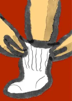 Lioncider illustrations