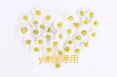 【yu様専用】チョコエッグ ポケモン 3点 おまとめ