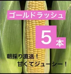 713【人気No.1】ゴールドラッシュ 5本入り　400g以上3L！朝採り直送のサムネイル