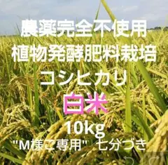 殺虫剤：農薬不使用：希少」大粒米／玄米20Kg「無洗米に精米