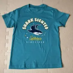 【新品】サメプリント Tシャツ 120cm