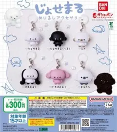 じょせまる めじるしアクセサリー 全6種セット