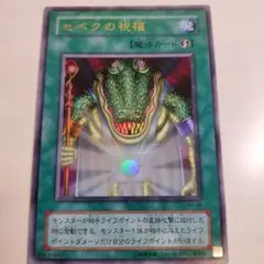 2026年最新】セベクの祝福 遊戯王の人気アイテム - メルカリ