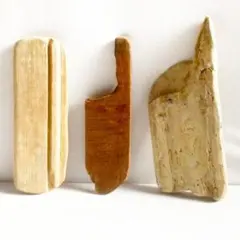 Item thumbnail for item 07214ced-1b46-43d6-b983-8e267aa63854