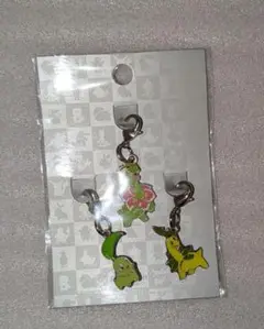 ポケモン　メタルチャーム　チコリータ　ベイリーフ　メガニウム　チャーム