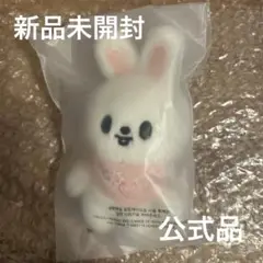 2025年最新】リービット skzooの人気アイテム - メルカリ