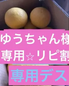 ゆうちゃん様専用