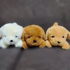 新品 ジェリーキャット ぬいぐるみ もぐら モグラ 土竜 mole 動物
