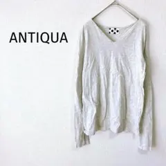 Z＊アンティカ＊ Vネックカットソー M 長袖 薄手 無地 綿100％ シンプル