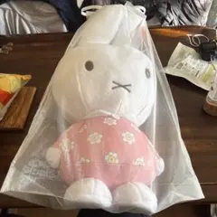 Item thumbnail for item 6a9f62a6-8e4e-4f85-a852-76044260782a