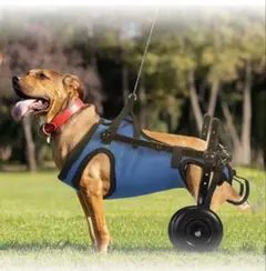 Item thumbnail for item 77f69704-d83c-4454-bbc1-3eb814e32049