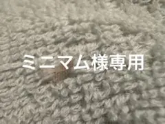 ミニマム様専用