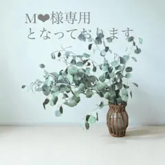 M❤︎様専用となっております