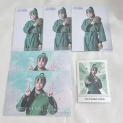 ミュージカル 忍たま乱太郎 忍ミュ ブロマイド ぱしゃこれ 立花仙蔵