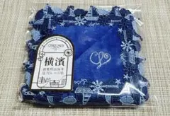 近沢レース タオルハンカチ　元町本店限定