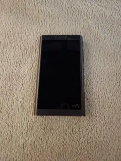 SONY Walkman NW-A55 本体 デジタルオーディオプレーヤー