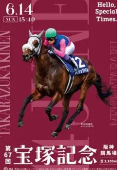 〈最新〉JRA第70回有馬記念ポスター【B1】 最新〉JRA第70回有馬記念ポスター【B1】 - メルカリ